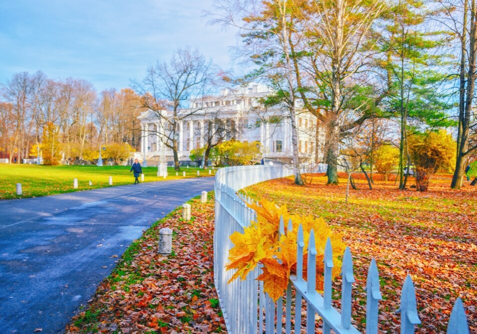 Morning,Landscape,In,Autumn,Park.,Orange,Red,Maple,Leaves,On